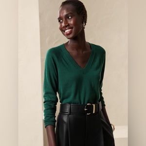 Banana Republic Factory V Neck Pullover Sweater (Forrest Green)